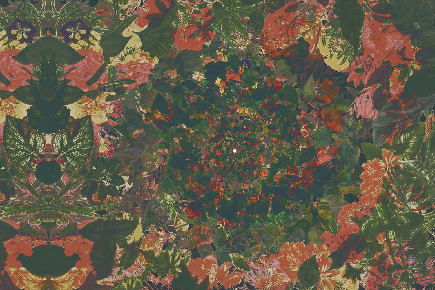Flower Power 17003 Wallpaper