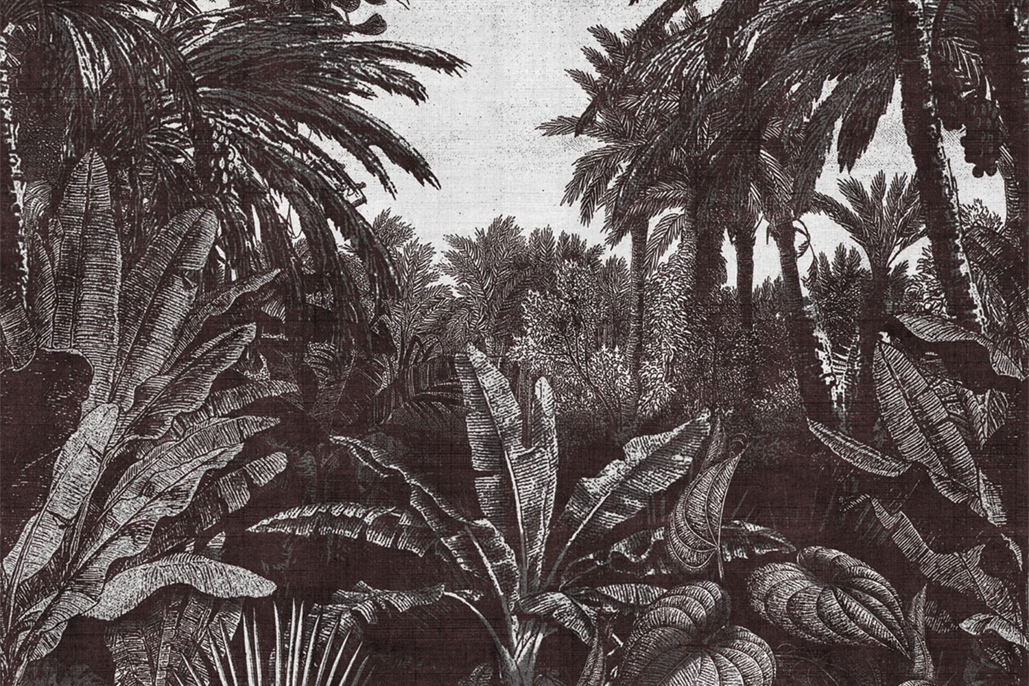 Tropical Mornings 17016 Wallpaper