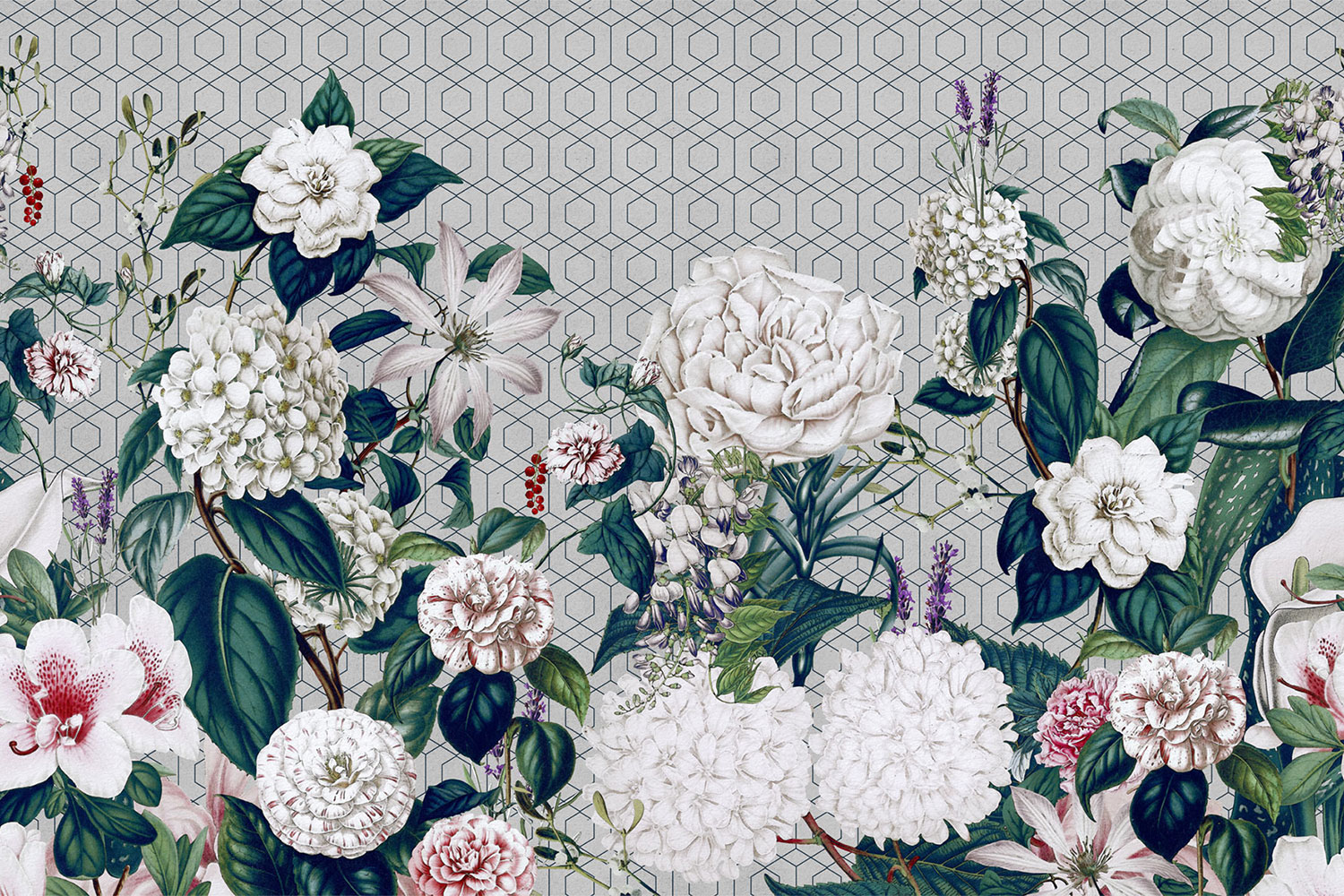Botanic Garden 17059 Wallpaper