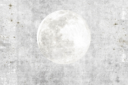 Sonnemblunem 17075 Wallpaper