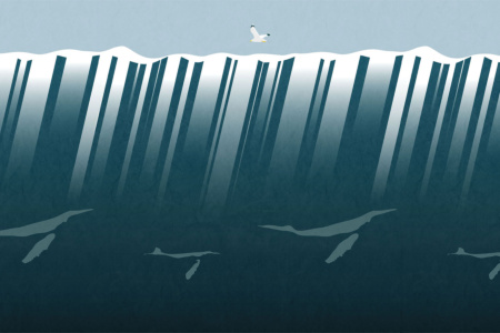 Below The Sea Face 17097 Wallpaper