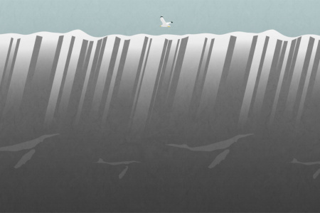 Below The Sea Face 17097 Wallpaper