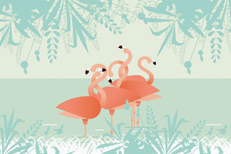 Flamingos 17101 Wallpaper