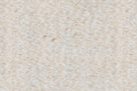 Mar D'Orient 18026 Wallpaper