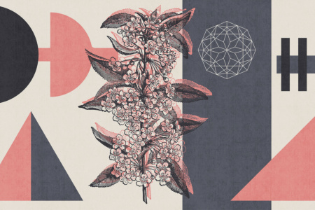 Esoterica 18036 Wallpaper