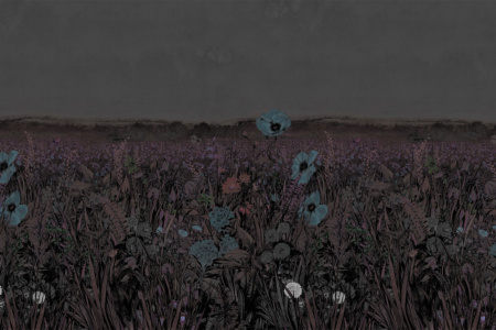 King Poppy 18057 Wallpaper