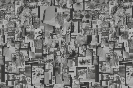 Camera Obscura 18068 Wallpaper