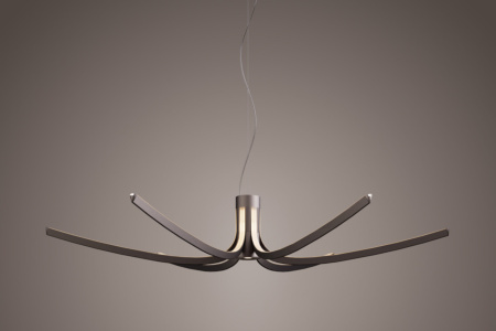 Asteria Suspension Light