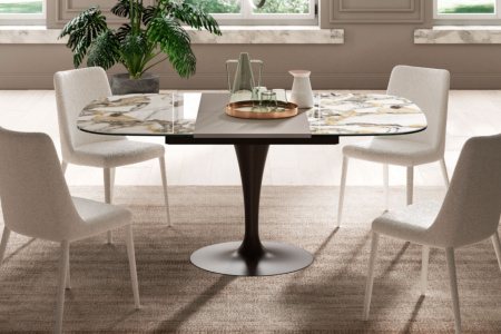 Sofia Dining Chair