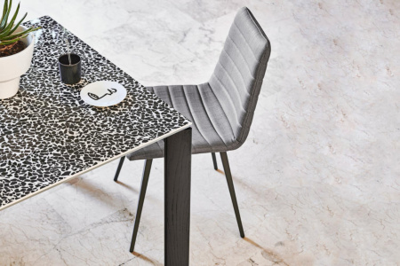Cover Dining Chair