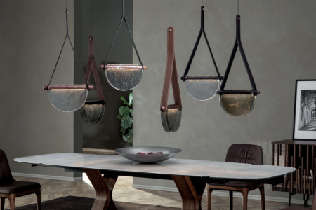 Dali Suspension Light
