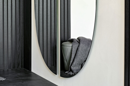 Day Mirror