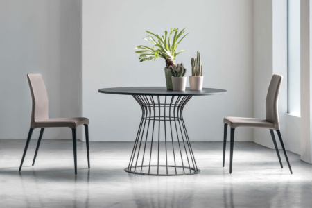 Fly Dining Chair