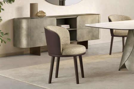 Ginger Wood Bicolor Dining Chair