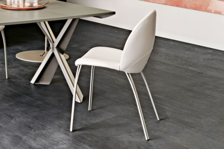 Holly Dining Chair
