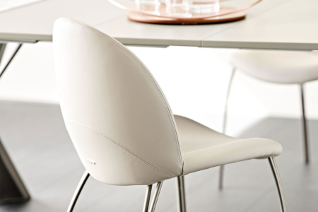 Holly Dining Chair