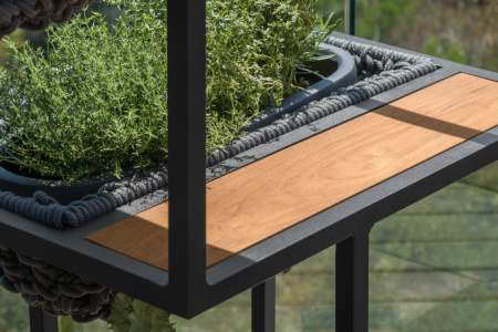 Jackie Planter