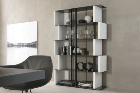 Manga Bookcase