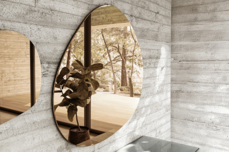 Pleasure Mirror