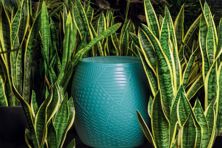 Roy Stool