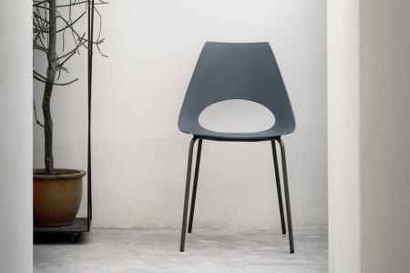 Shark Dining Chair
