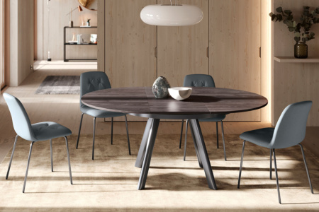Spring Dining Chair