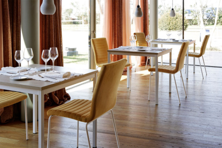 Star Dining Chair