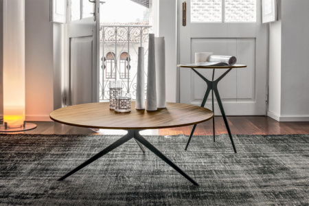 Tree Coffee Table