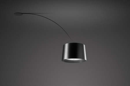 Twiggy Ceiling Light