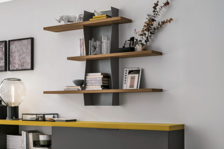 Versus Bookcase