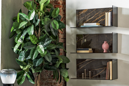 Zen Shelf