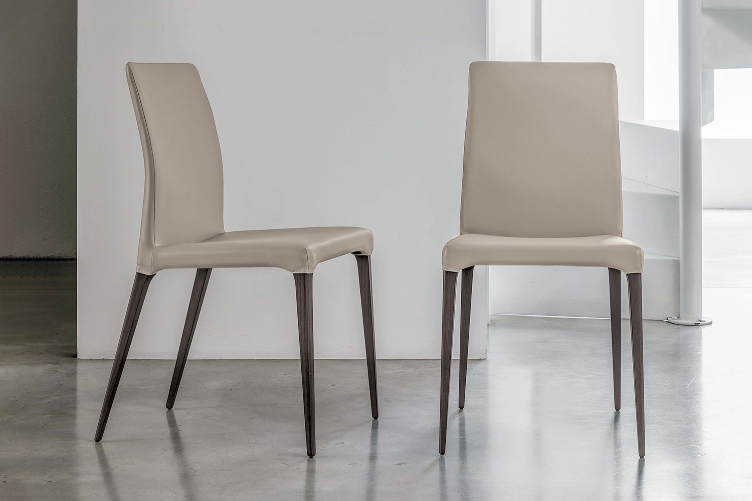 Fly Dining Chair