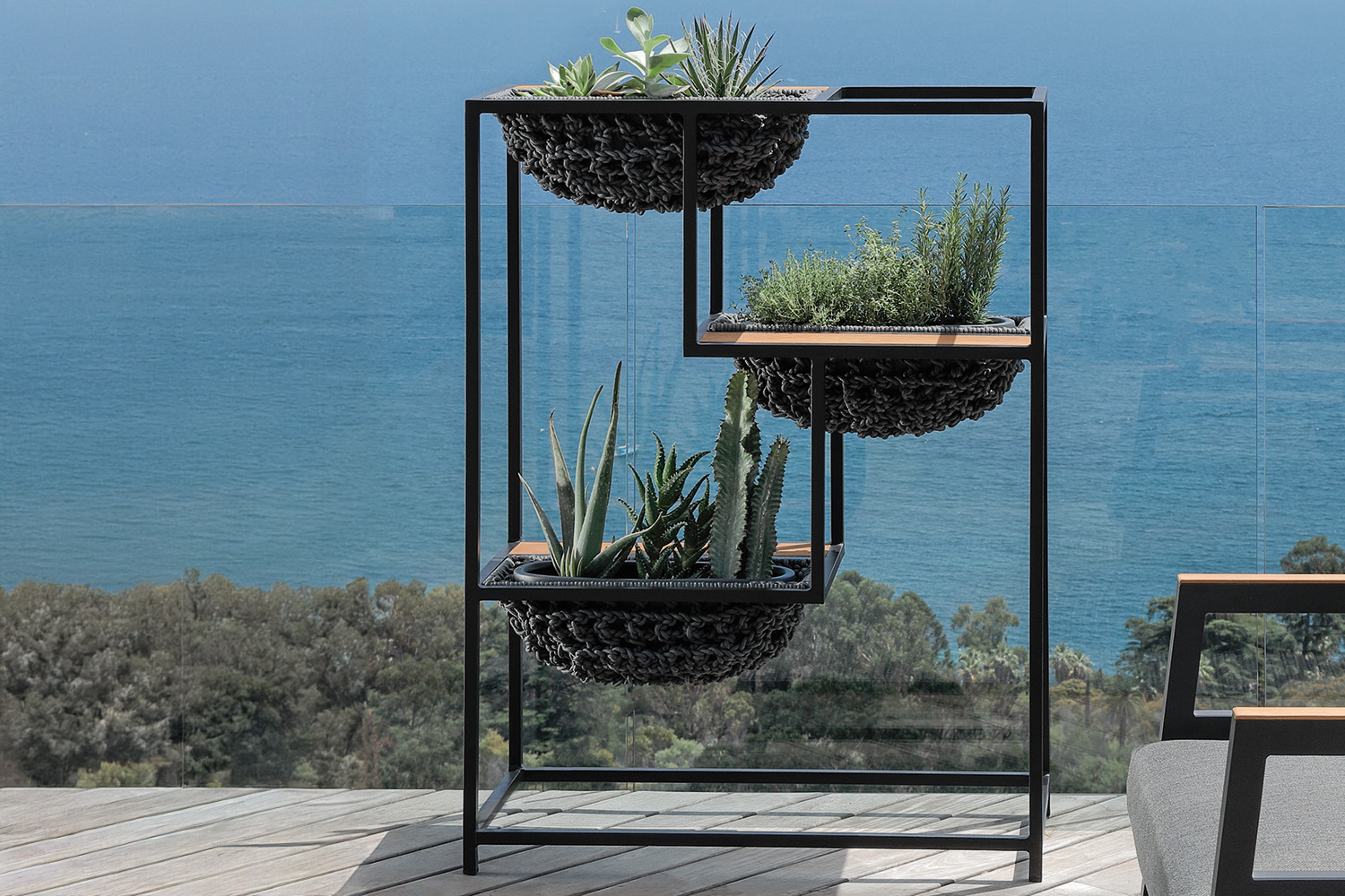 Jackie Planter