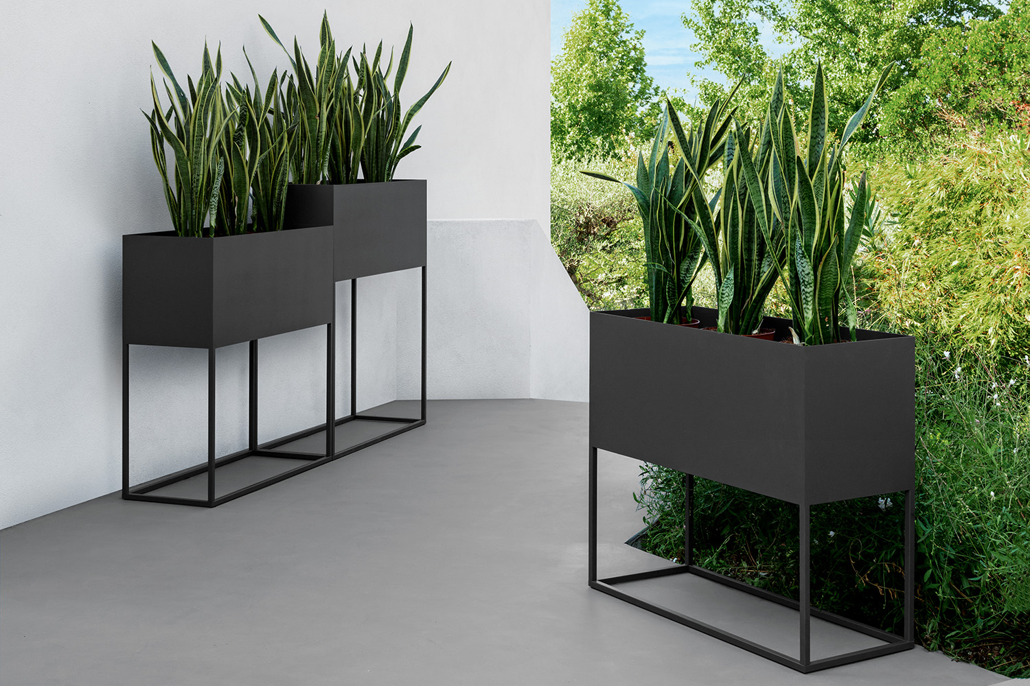 Path Planter
