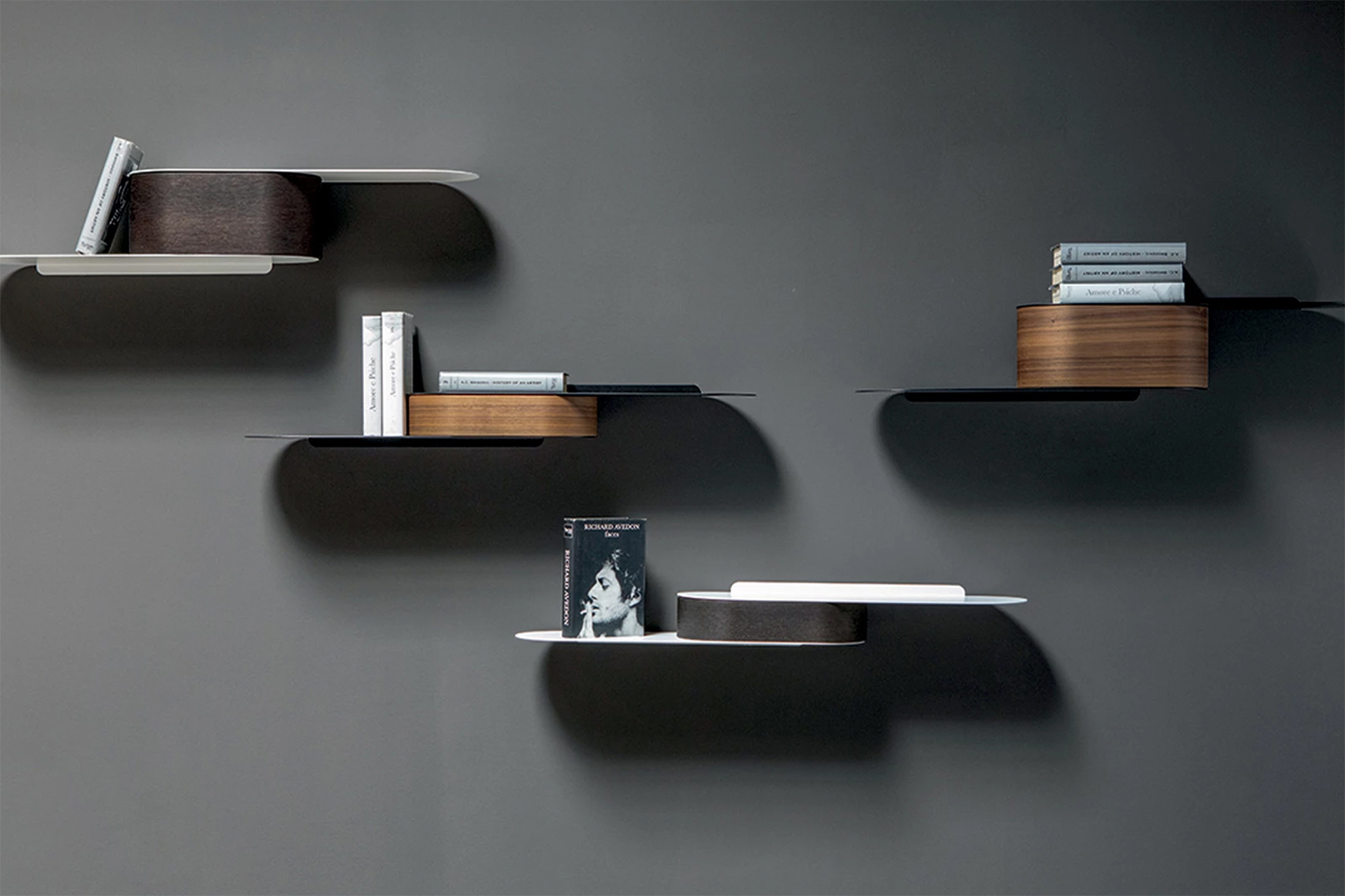 Snowboard Shelf