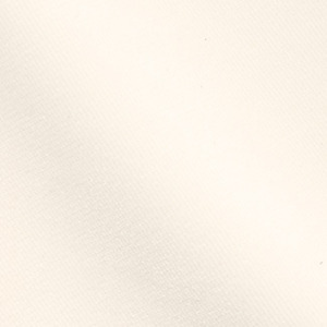 B920 Velvet Fabric