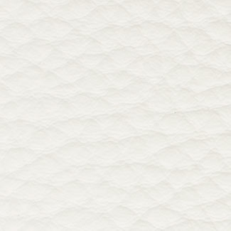 E925 Snow White Pampas Leather