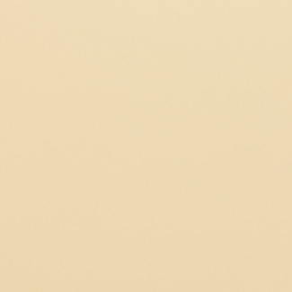 1001 Beige Epoxy Color
