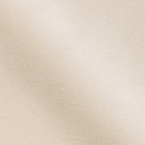 B922 Velvet Fabric