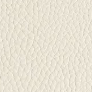 C119 Ice White Club Leather