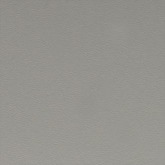 F49 Hard Leather