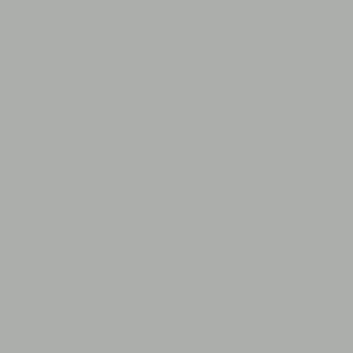Platinum Matte