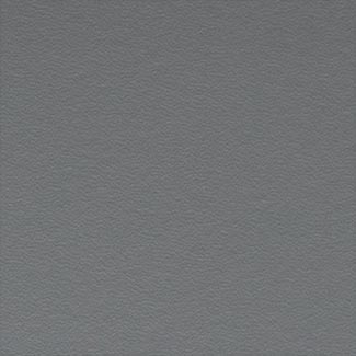 F19 Hard Leather