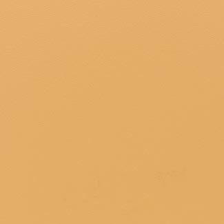 C0O2 Ocher Hard Leather