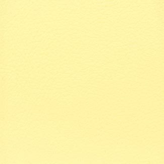 E0G5 Pastel Yellow Eco Leather