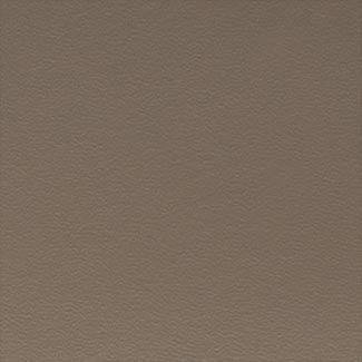 F22 Hard Leather
