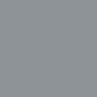 155 Soft Grey Matte Lacquer