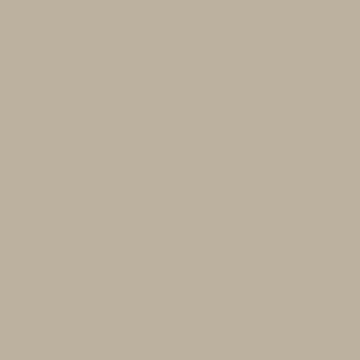 Ombra Matte Lacquer