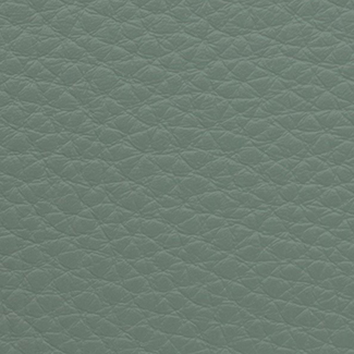 F806 Eucalyptus Danka Leather