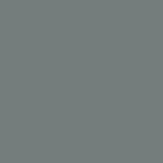 177 Basalt Matte Lacquer